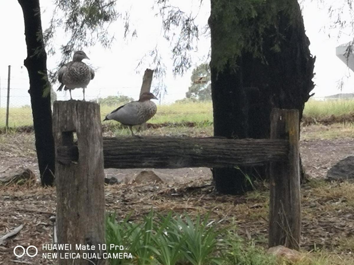 Kalimna Woods Cottages Lakes Entrance Exterior foto