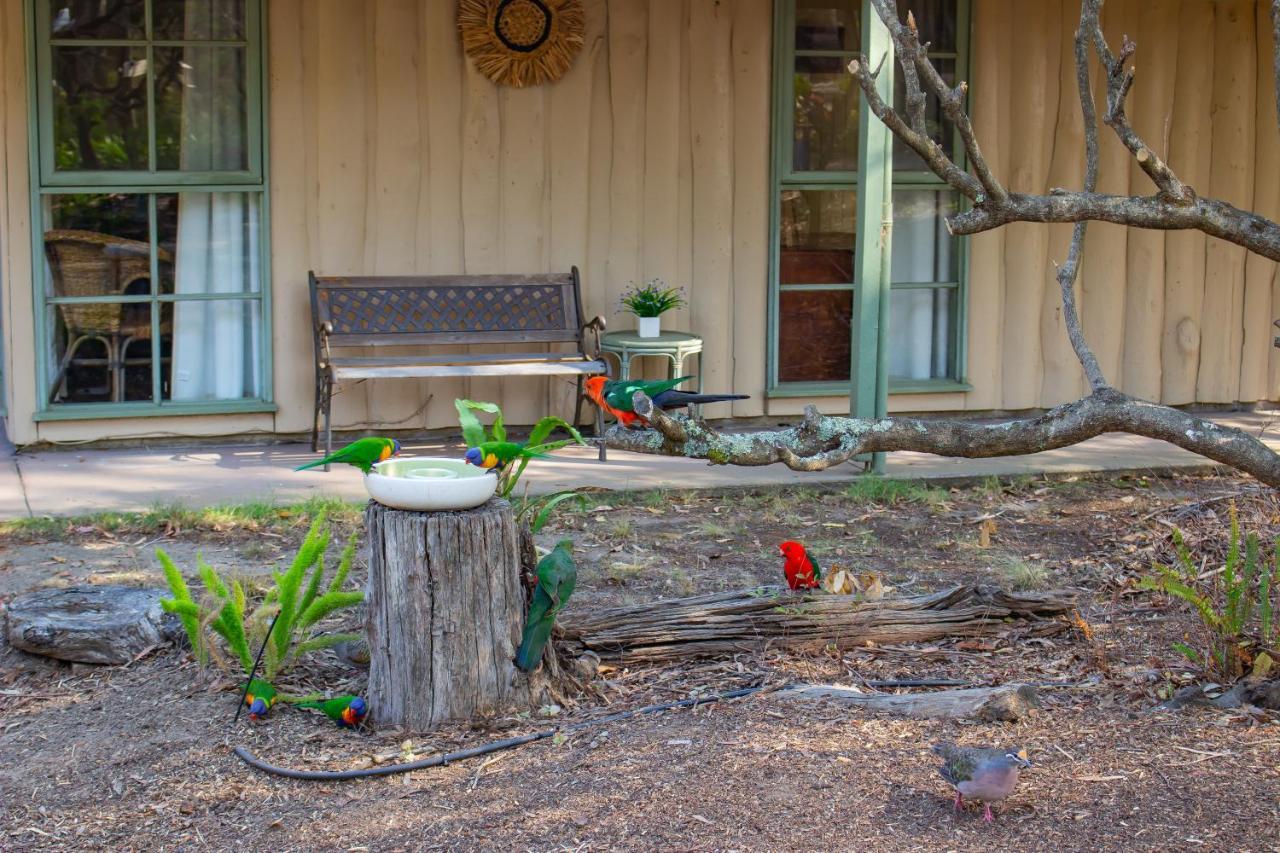 Kalimna Woods Cottages Lakes Entrance Exterior foto