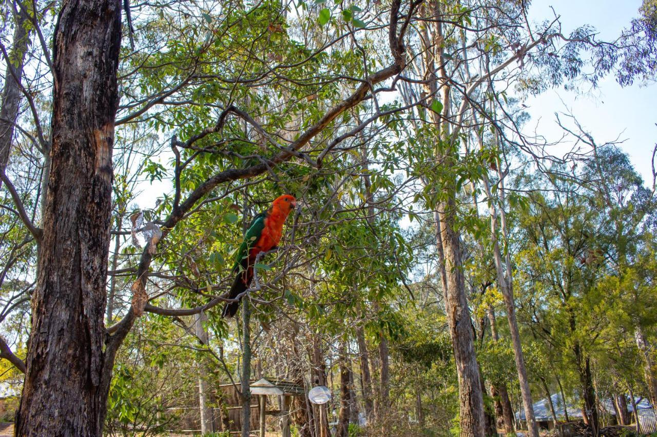 Kalimna Woods Cottages Lakes Entrance Exterior foto